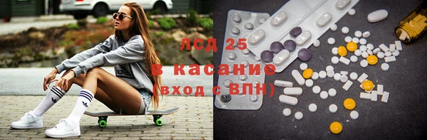 гидра Аркадак